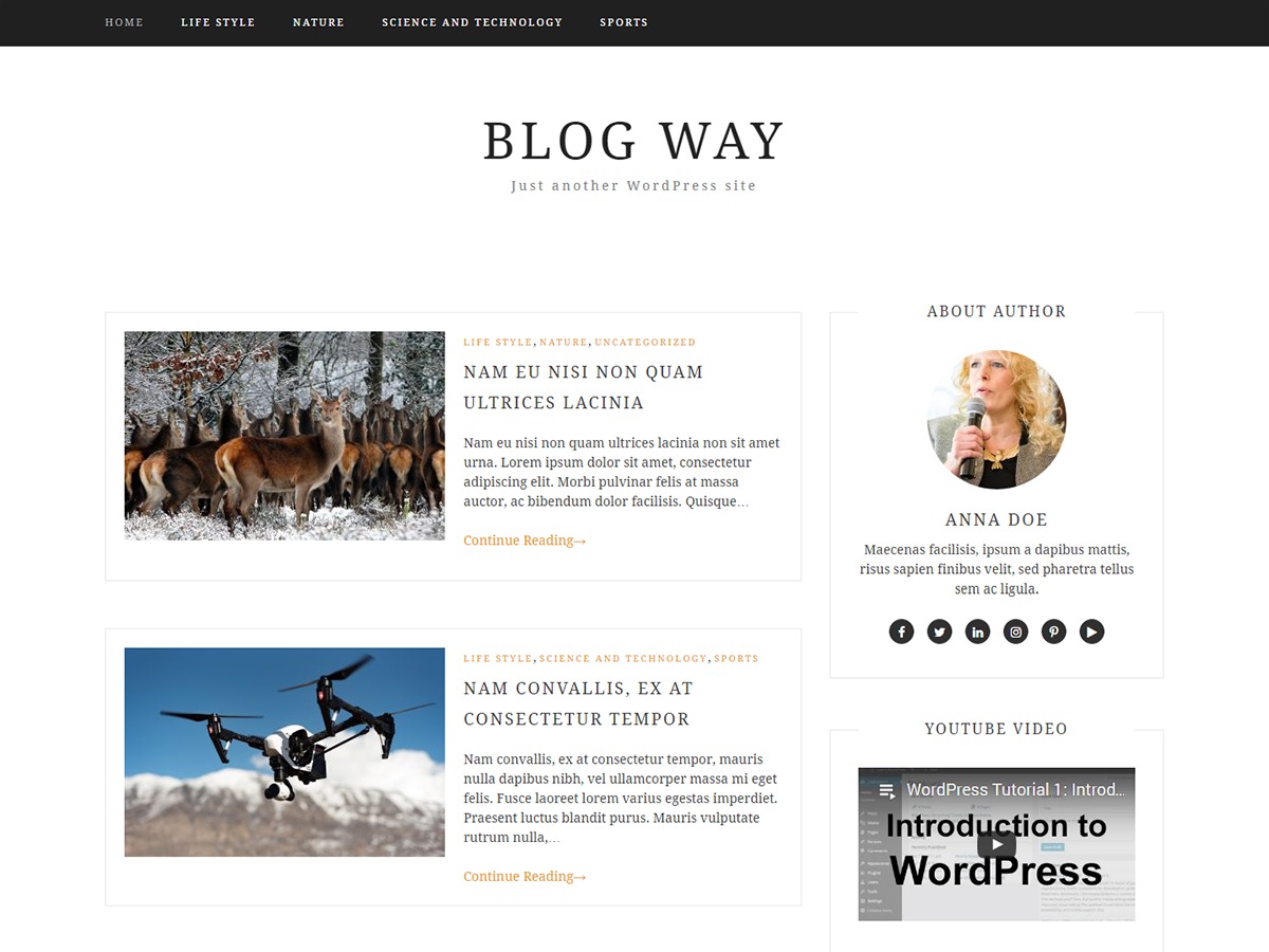blog na wordpress пример