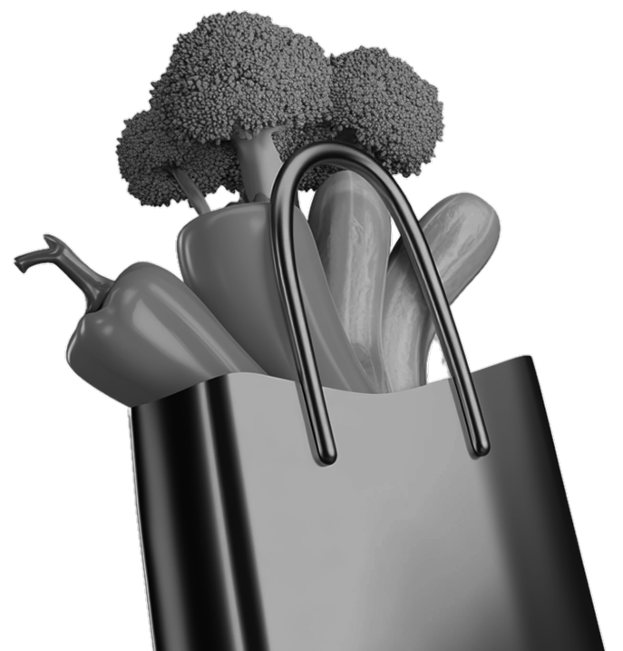 Brandbook «Bio Logisch»