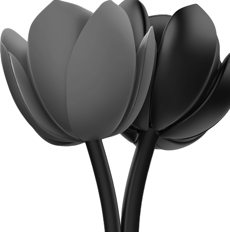 Более 100 заявок по 350 руб. с конверсией в продажу — более 40%