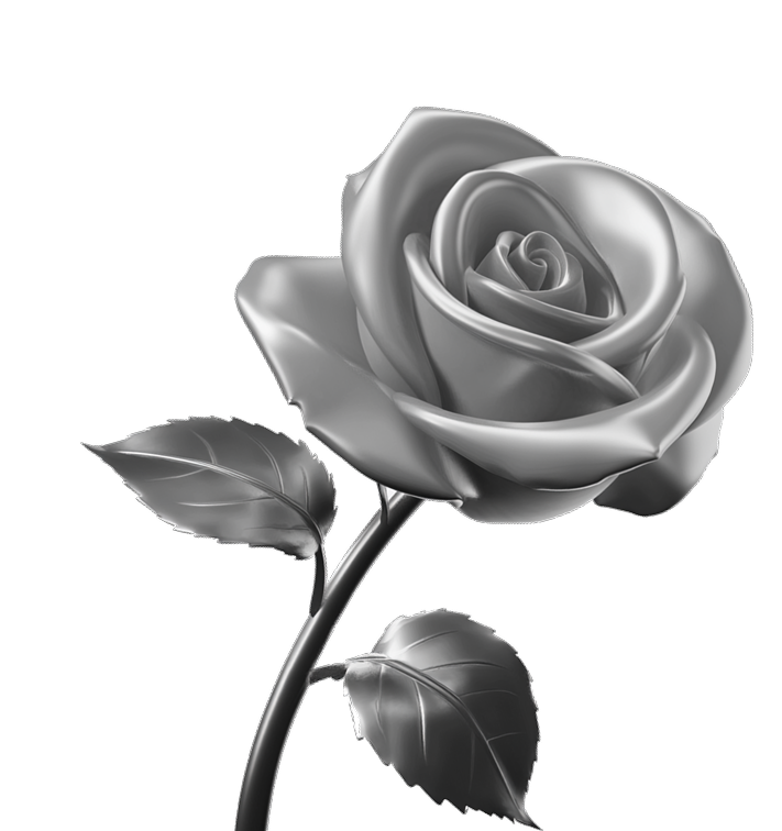 Более 100 заявок  по 350 руб с конверсией  в продажу более 40%