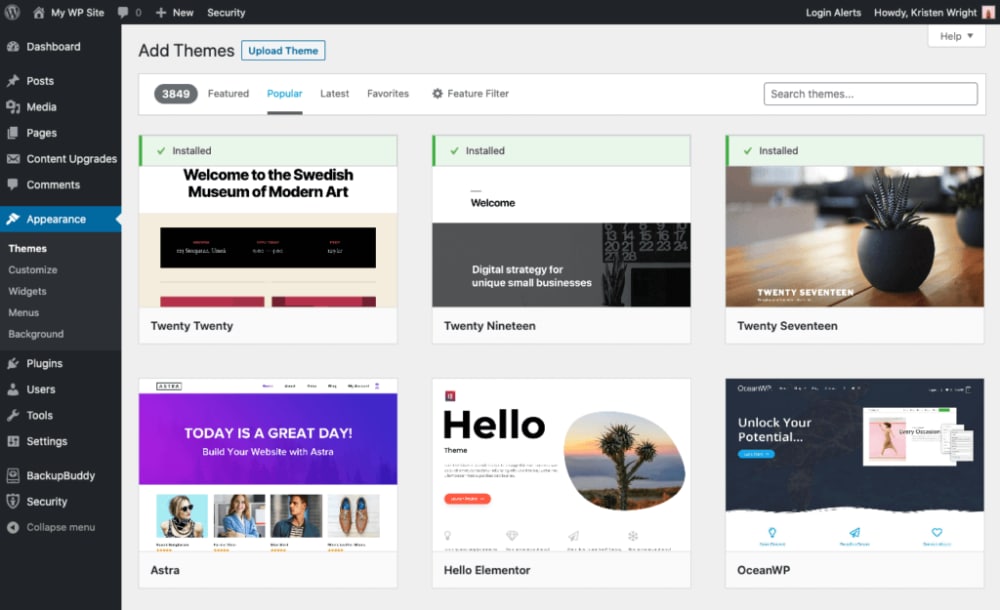 Ппродвижение сайта на wordpress темы