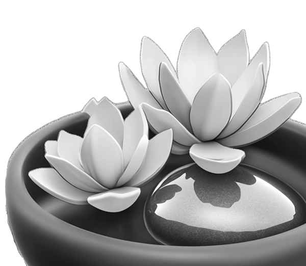 Лиды до 1000 рублей  для premium spa салона